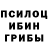 Псилоцибиновые грибы Cubensis Reverz
