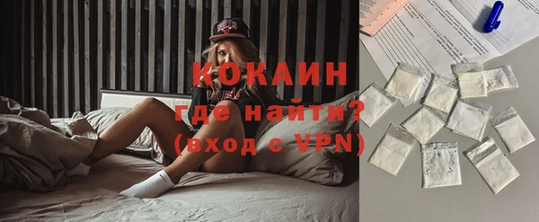 стаф Алзамай