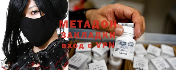 стаф Алзамай