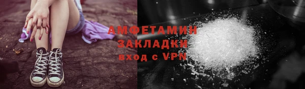 стаф Алзамай