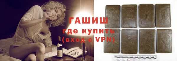 стаф Алзамай