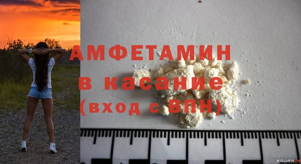 стаф Алзамай