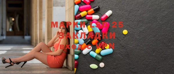 ешки Алексин