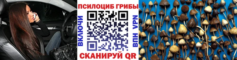 Галлюциногенные грибы Psilocybine cubensis блэк спрут рабочий сайт Бердск