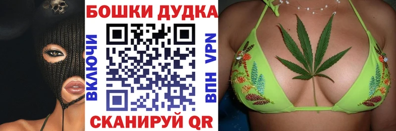 купить   omg сайт  Каннабис сатива  Бердск 